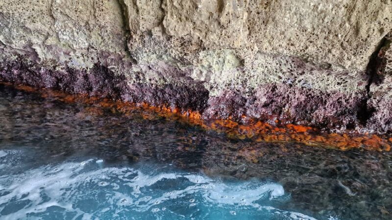 Syracuse: Picnic boat tour of Pillirina, Ortigia & sea caves - Final Thoughts: Why This Tour Is Worth Considering