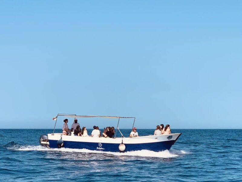 Syracuse: Pillirina, Ortigia, and Sea Caves Tour by Boat - The Sum Up