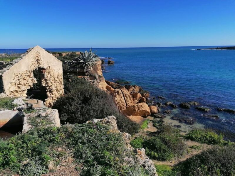 Syracuse: Pillirina, Ortigia, Sea Caves and snorkeling - Who Will Enjoy This Tour Most?