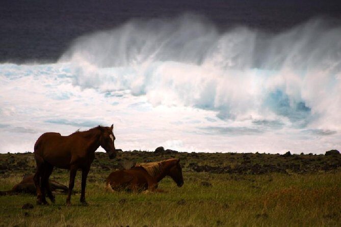 T5-GIANT STATUES (non-cruise visitors) - In-Depth Reflection on the Tour Experience