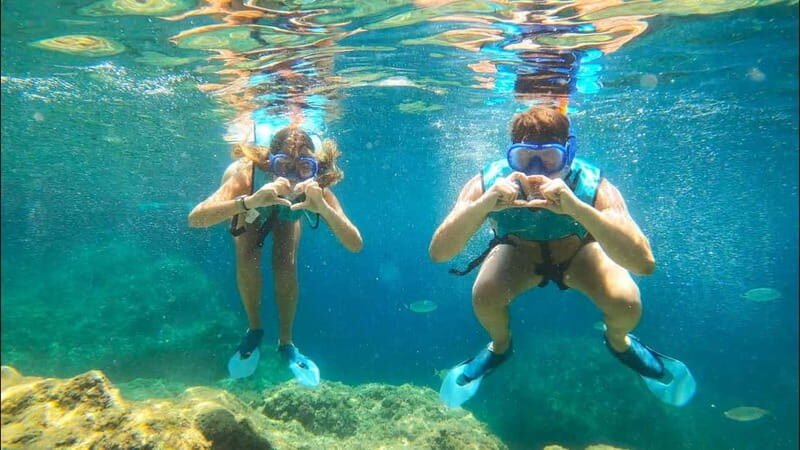 Tabarca Island: Guided Snorkel Excursion - What to Expect from Your Snorkeling Tour