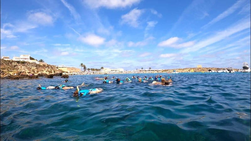 Tabarca Island: Guided Snorkel Excursion - Authentic Experiences & Honest Feedback
