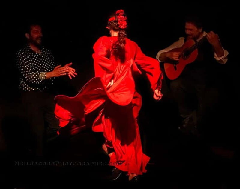 Tablao Flamenco La Exclusiva in Seville and Tinto de Verano - Key Points