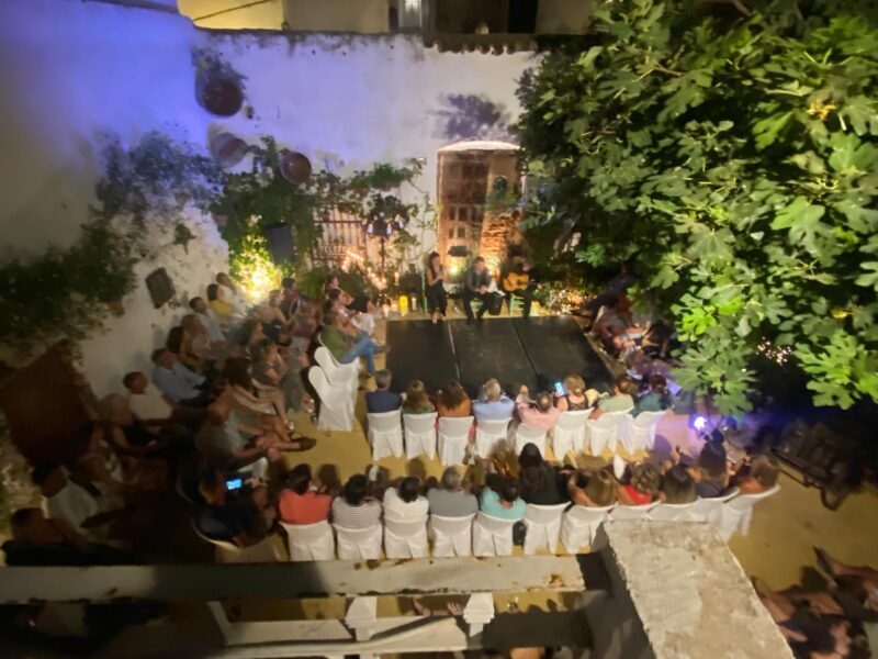 Tablao Flamenco La Puerta Ancha entrance ticket - Who Should Book This Tour?