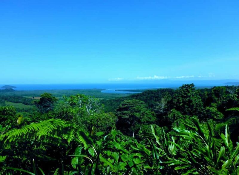 Tablelands Sights & Daintree Rainforest - Discovering Queensland: A Journey through Nature and Heritage