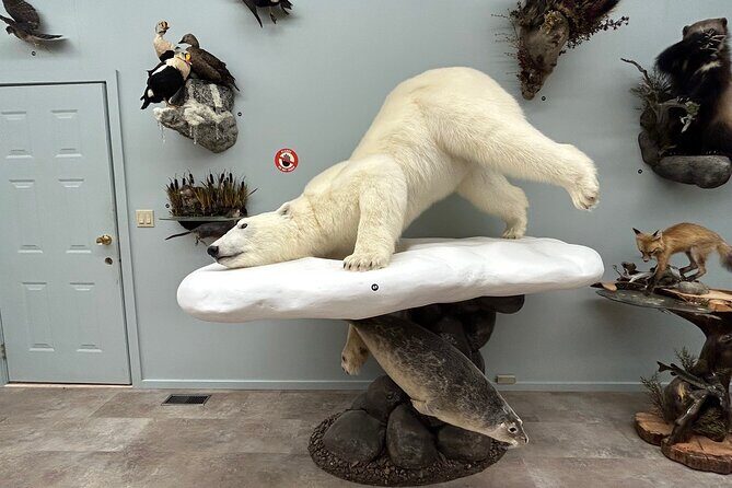 Tablet Tour in Wildlife Gallery - Who Will Love This Tour?