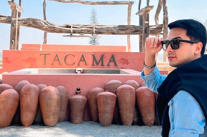 Tacama Wine Experience and Pisco Museum and Pisco Sour Class - Key Points