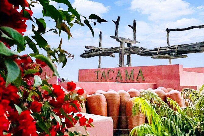 Tacama Wine Experience and Pisco Museum and Pisco Sour Class - Overview of the Tour
