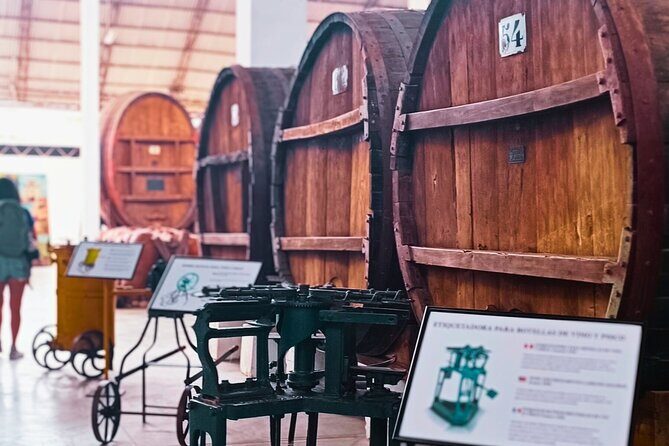 Tacama Wine Experience and Pisco Museum and Pisco Sour Class - Additional Considerations