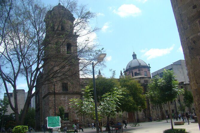 Taco, Torta and Lonche Tour in the Historic Center of Guadalajara - Final Thoughts