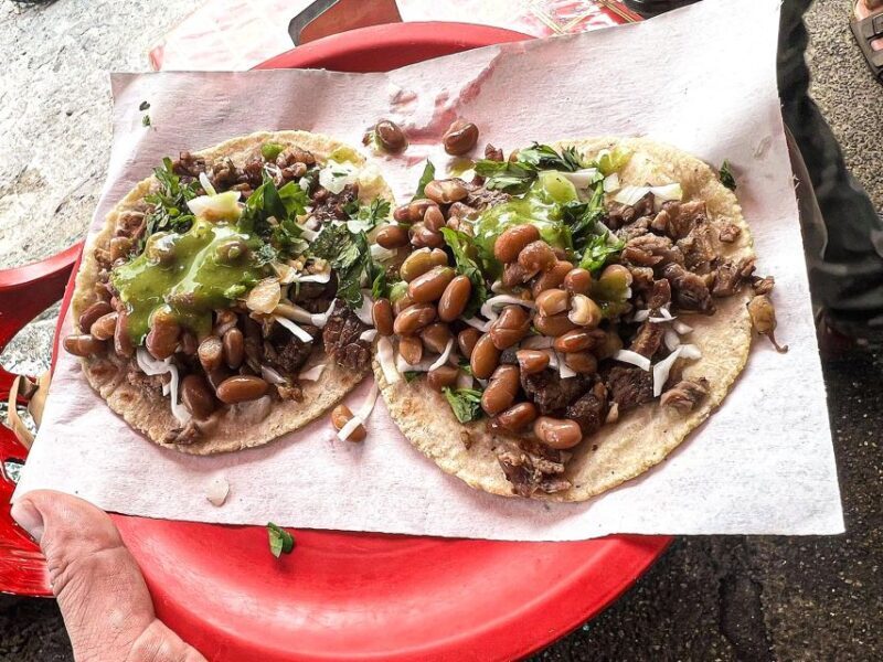 Taco Tour with Electric Bikes - Bucerias or Puerto Vallarta - Final Thoughts