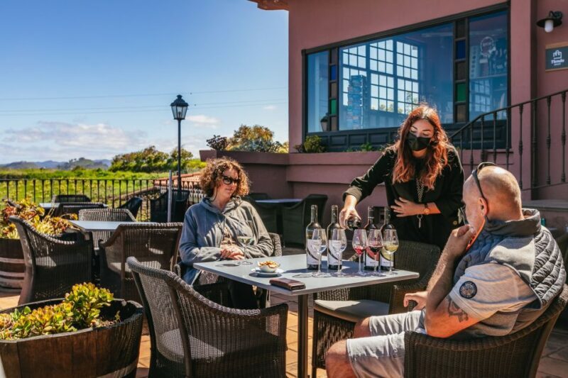 Tacoronte: Guided Winery Tour with Wine and Cheese Tastings - Final Verdict
