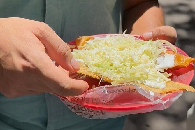 Tacos 101 Mexico City Taco Experience - Who Will Love This Tour?