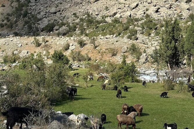 Tadjikistan 7 Lakes Day Trip from Samarkand with Lunch - Exploring Tajikistan’s 7 Lakes from Samarkand: An Unforgettable Day Trip