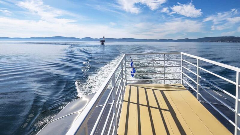 Tadoussac/Charlevoix: VIP Lounge OR UpperDeck Whale Watching - FAQ