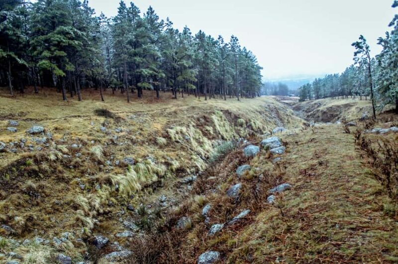 Tafi Del Valle Day Tour from Tucuman - Practical Tips for Travelers