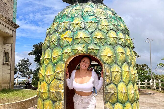 Tagaytay Day Tour sightseeing with Panoramic Taal volcano view - In-Depth Review of the Tagaytay Day Tour