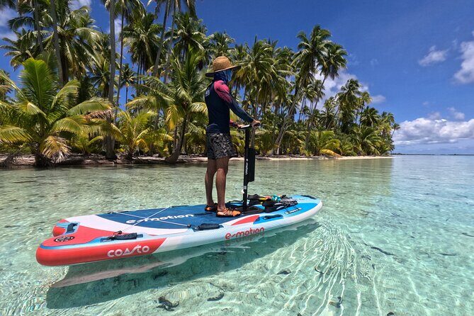 Tahaa Excursion in Electric Paddle Snorkeling Coral Garden - Discover Tahaa’s Coral Garden with an Electric Paddle Snorkeling Tour