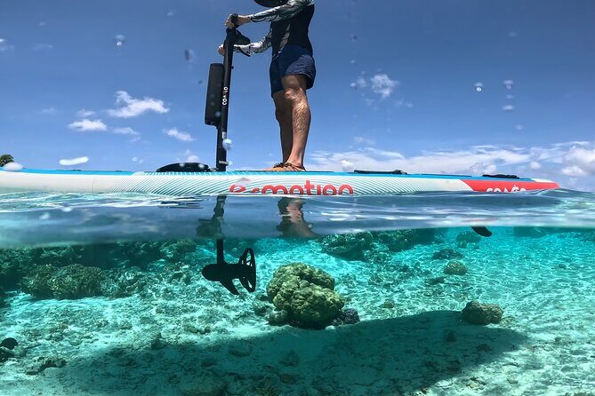 Tahaa Excursion in Electric Paddle Snorkeling Coral Garden - The Snack Break: Relaxing in Polynesian Style