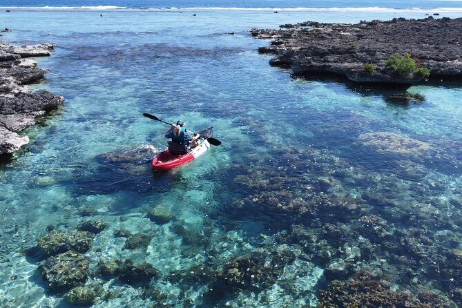 Tahaa: Kayaking Rental - Coral Garden - Snorkeling - Detailed Review: The Real Value of Kayaking and Snorkeling in Tahaa