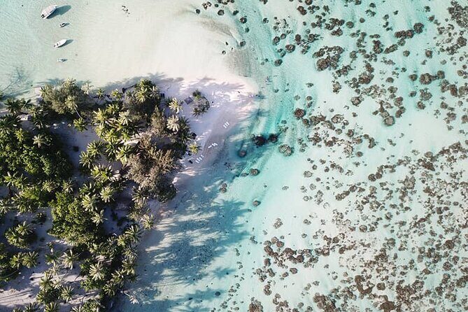 Tahaa Lagoon Tour -Departure Raiatea-Small groups (max 12 p) - Exploring the Tahaa Lagoon: A Personal, Authentic Adventure