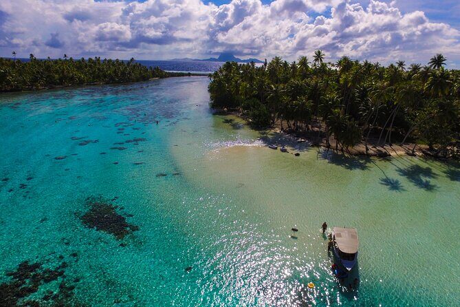 Tahaa Lagoon Tour -Departure Raiatea-Small groups (max 12 p) - Authentic Reviews: Voices from the Field