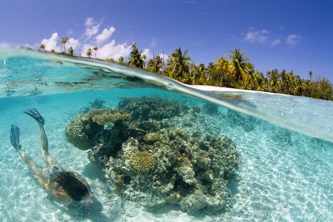 Tahaa Lagoon Tour -Departure Raiatea-Small groups (max 12 p) - The Sum Up: A Genuine Taste of Tahaa