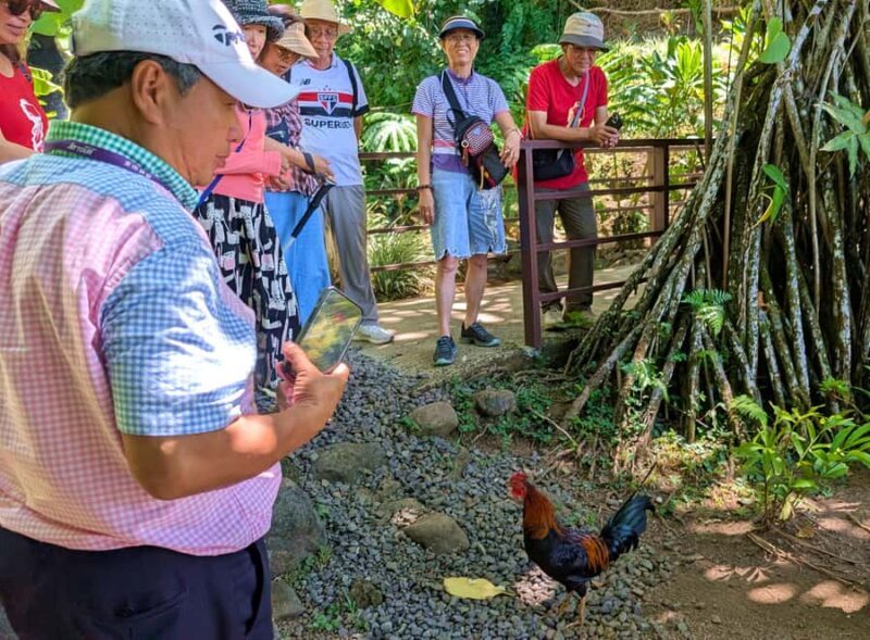 Tahiti Classical Coastal Full Day Private Tour - Discover Tahiti’s Hidden Treasures with the Classical Coastal Full Day Private Tour