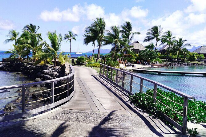 Tahiti Fautaua Valley and Big Waterfall Private Hiking Tour - The Detailed Journey Through Tahiti’s Hidden Gem