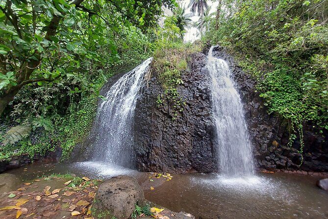Tahiti Full Day Private Coastal Tour - Who Will Love This Tour?