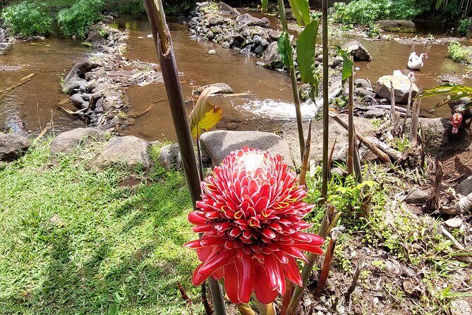 Tahiti Full Day Private Coastal Tour - FAQ