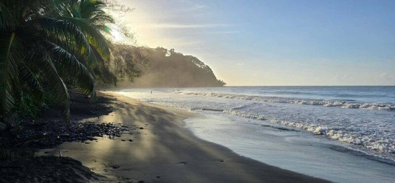 Tahiti: Northeast Coast Waterfalls&Viewpoints Half Day Tour - Practical Insights and Value