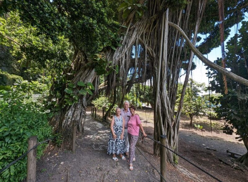 Tahiti Private Half Day Tour. Nature, history and culture - An In-Depth Look at the Tahiti Private Half Day Tour
