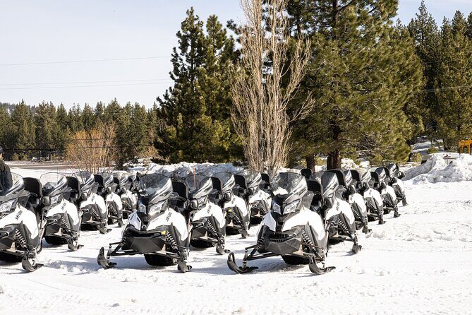 Tahoe Lakeview Snowmobiling Tours - Why Choose Tahoe Lakeview Snowmobiling Tours?