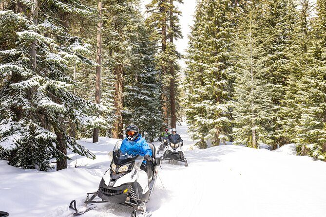 Tahoe Summit Snowmobiling Tours - Authentic Traveler Perspectives