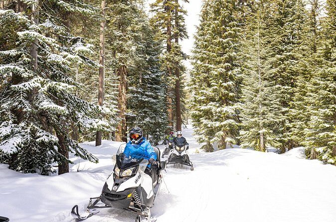 Tahoe Summit Snowmobiling Tours - Who Will Love This Tour?