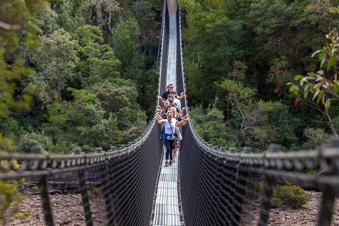 Tahune Airwalk & Hastings Cave Active Day Tour from Hobart - What Makes This Tour Stand Out?