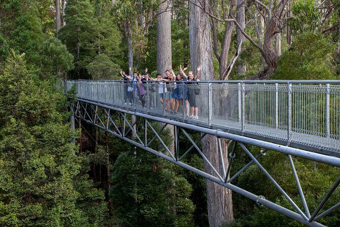 Tahune Airwalk & Hastings Cave Active Day Tour from Hobart - Value for Money