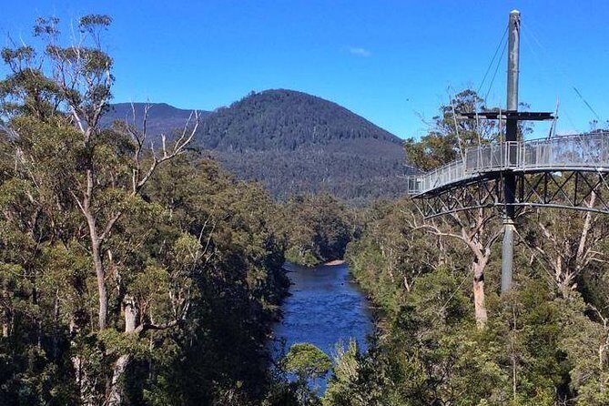 Tahune Airwalk & Hastings Cave Active Day Tour from Hobart - Frequently Asked Questions