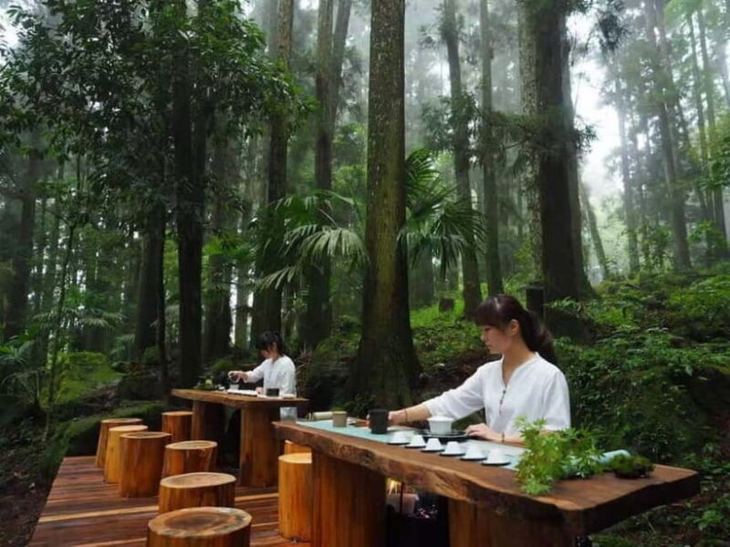 Taichung: Alishan National Scenic Area and Fenqihu Tour - Key Points