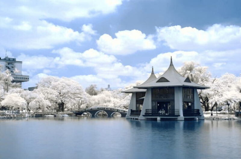 Taichung City: Sightseeing Walking Tour with a Local Guide - Key Points