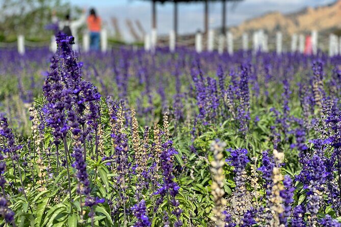 Taichung Must-Visit Join In Day Tour from Taipei - Final Thoughts