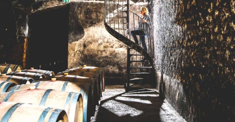 Taillan-Médoc: Château Visit and Wine Tasting in Bordeaux - The Vat Room and Winemaking Techniques