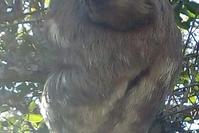 Tailor made tour - FAQs