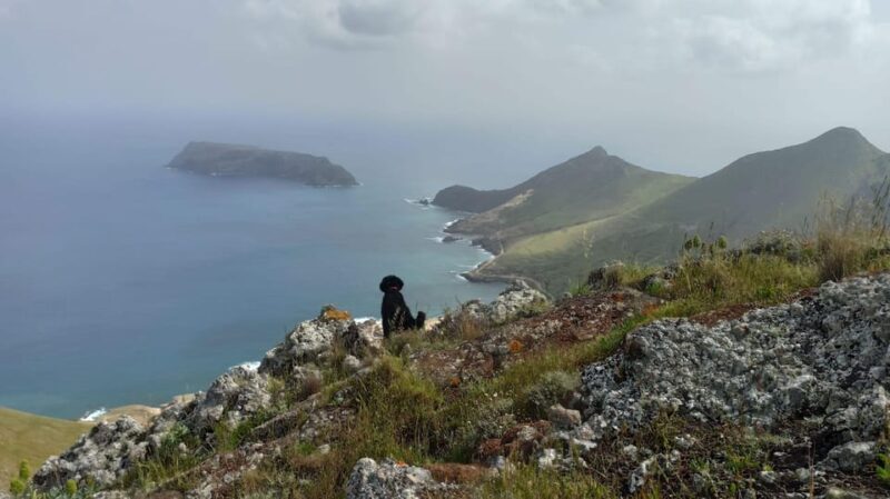 Tailored Trek: Your adventure, Your Way - Tailored Trek: Your Adventure, Your Way