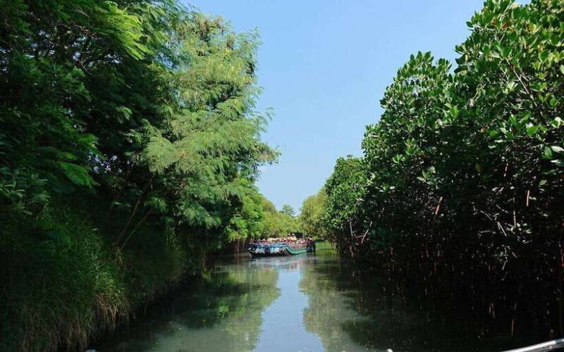 Tainan: Sicao Green Tunnel Scenic Boat Ride - Who Will Enjoy This Tour?