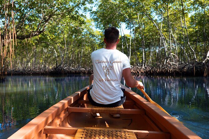 Tainos / Indigenas Los Haitises Caves and Mangroves Canoes Tour - An In-Depth Look at This Adventure