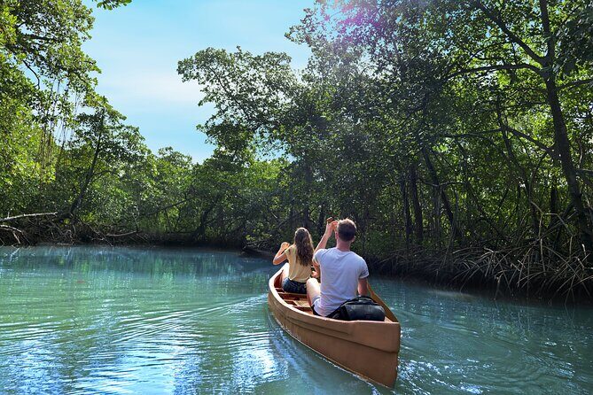Tainos / Indigenas Los Haitises Caves and Mangroves Canoes Tour - Who Will Love This Tour?