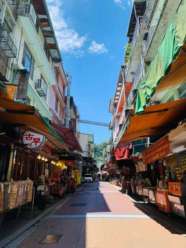 Taipei: 8 Hours Private Day Tour in Wulai with Benz Vito - Price and Value Analysis