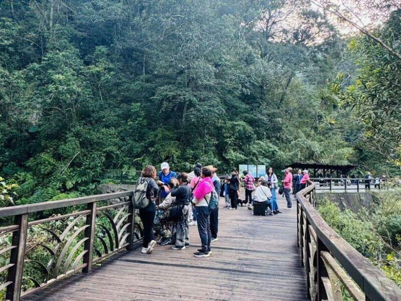 Taipei: 8 Hours Private Day Tour in Wulai with Benz Vito - Frequently Asked Questions